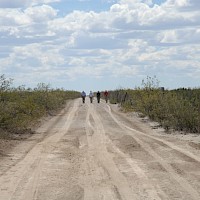 Exploring a new path to success