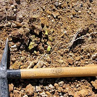 Visible surface uranium at Nicky